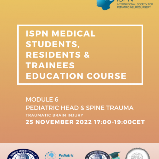 Program confirmed for module 6: Pediatric head & spine trauma – Sign up today!